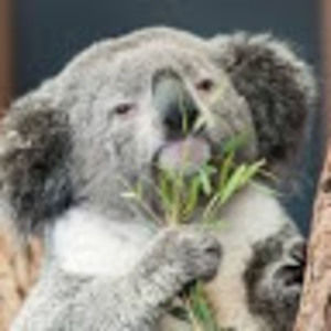 Meet your Posher, Kaiden